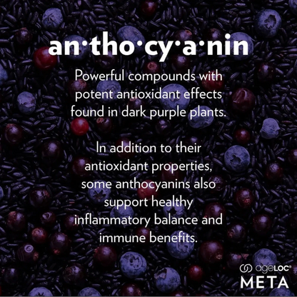 Text about anthocyanin with dark purple berries in the background